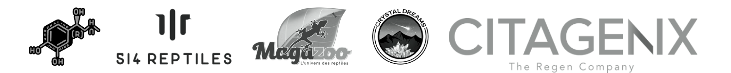 Logo Desktop 1